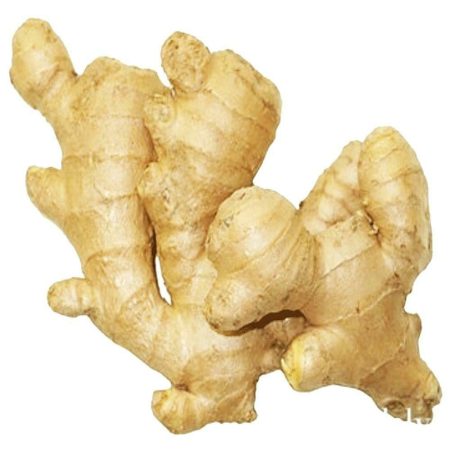 Buy Wholesale Bulk Fresh Ginger