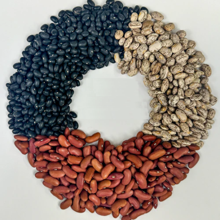 Buy Wholesale Bulk Kidney Beans