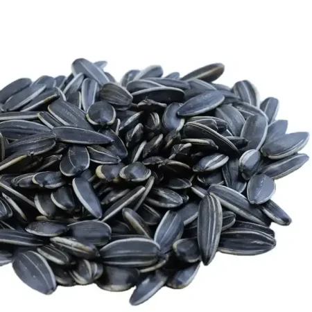 Buy Wholesale Bulk Sunflower seeds