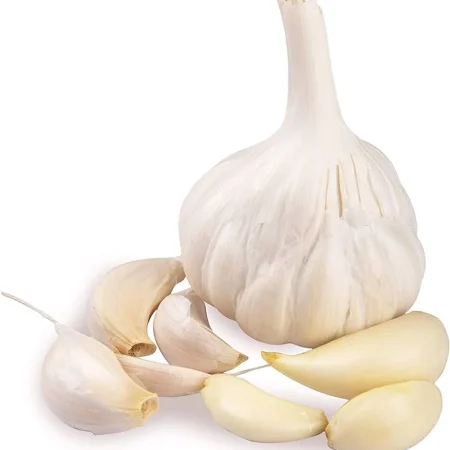 Buy Wholesale Fresh Natural Pure White Garlic
