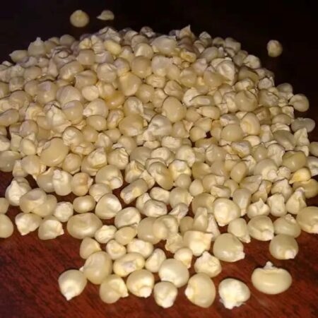 Buy Wholesale Bulk Non-Gmo White Maize