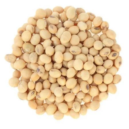Buy Wholesale Bulk Non-GMO Soybeans