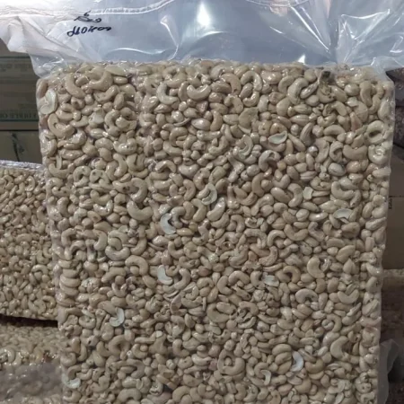 Buy Wholesale Bulk Processed Cashew Nut Kernel