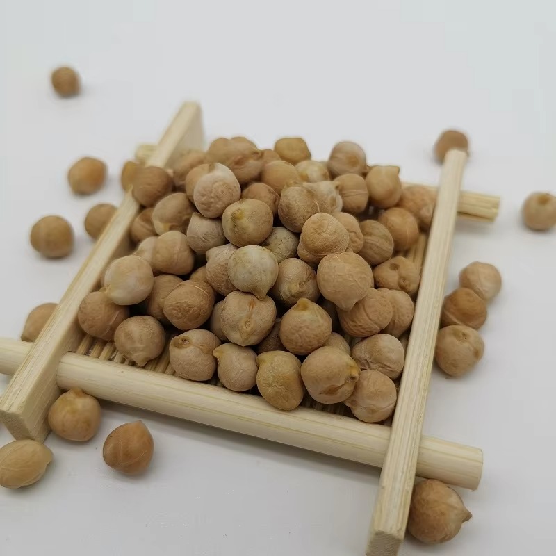 High Quality Chickpeas - Image 2