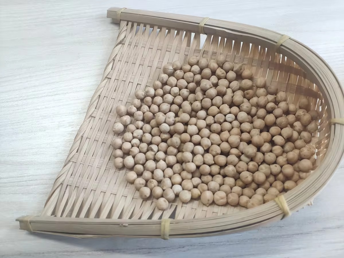 High Quality Chickpeas - Image 4