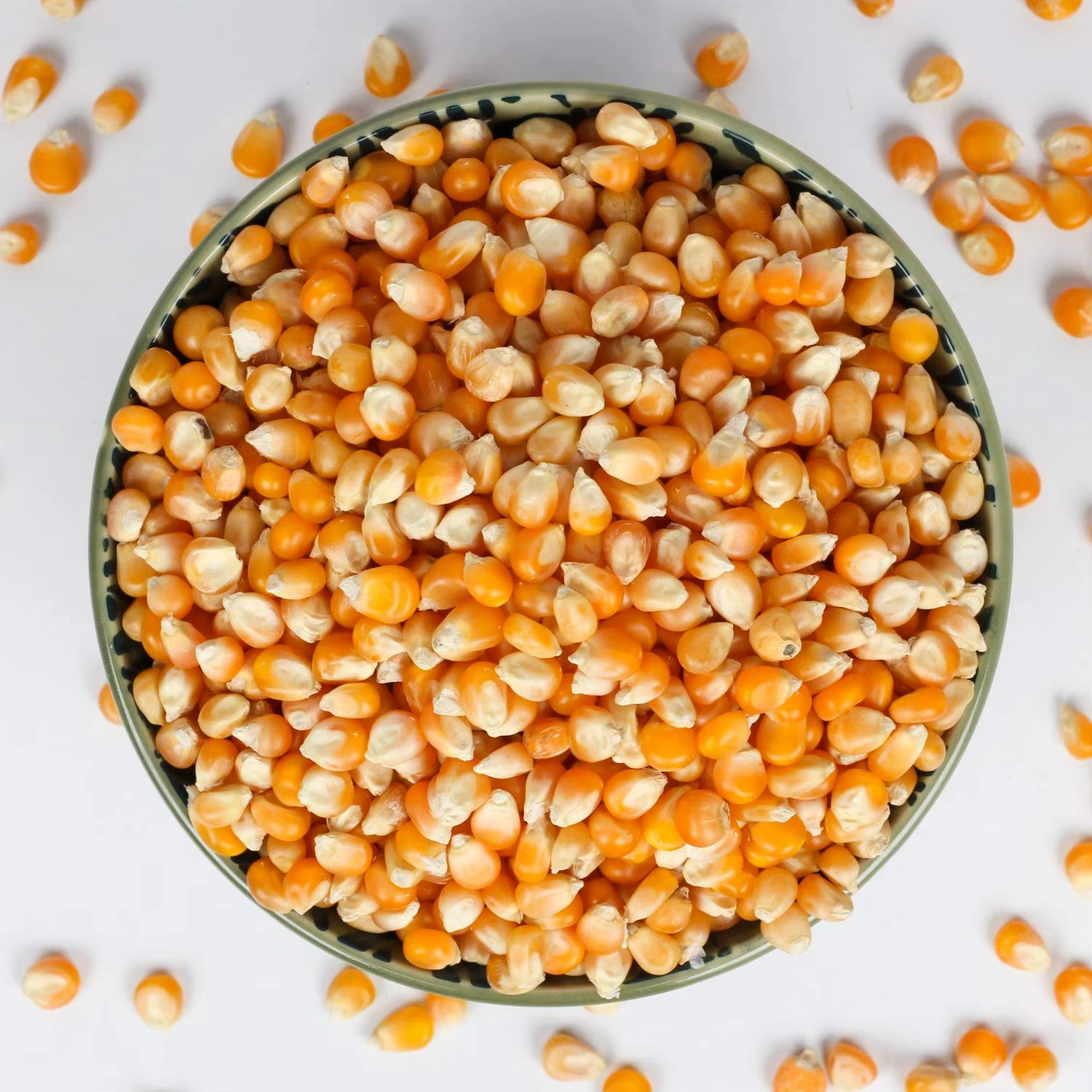 Buy Wholesale Bulk Non-Gmo Yellow Maize